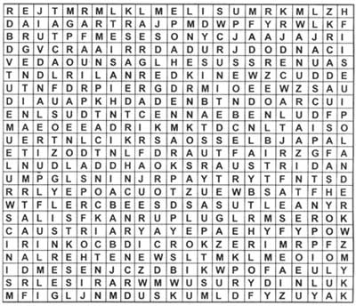 puzzle.jpg (41293 bytes)