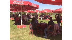 Welcome Picnic for International Faculty Draws 170 Guests