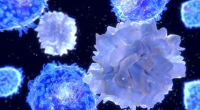 Bilkent-Led Studies Identify Genes Behind Drug Resistance in Breast Cancer