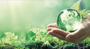 Bilkent Declares 2021–2022 ‘Sustainability Year’